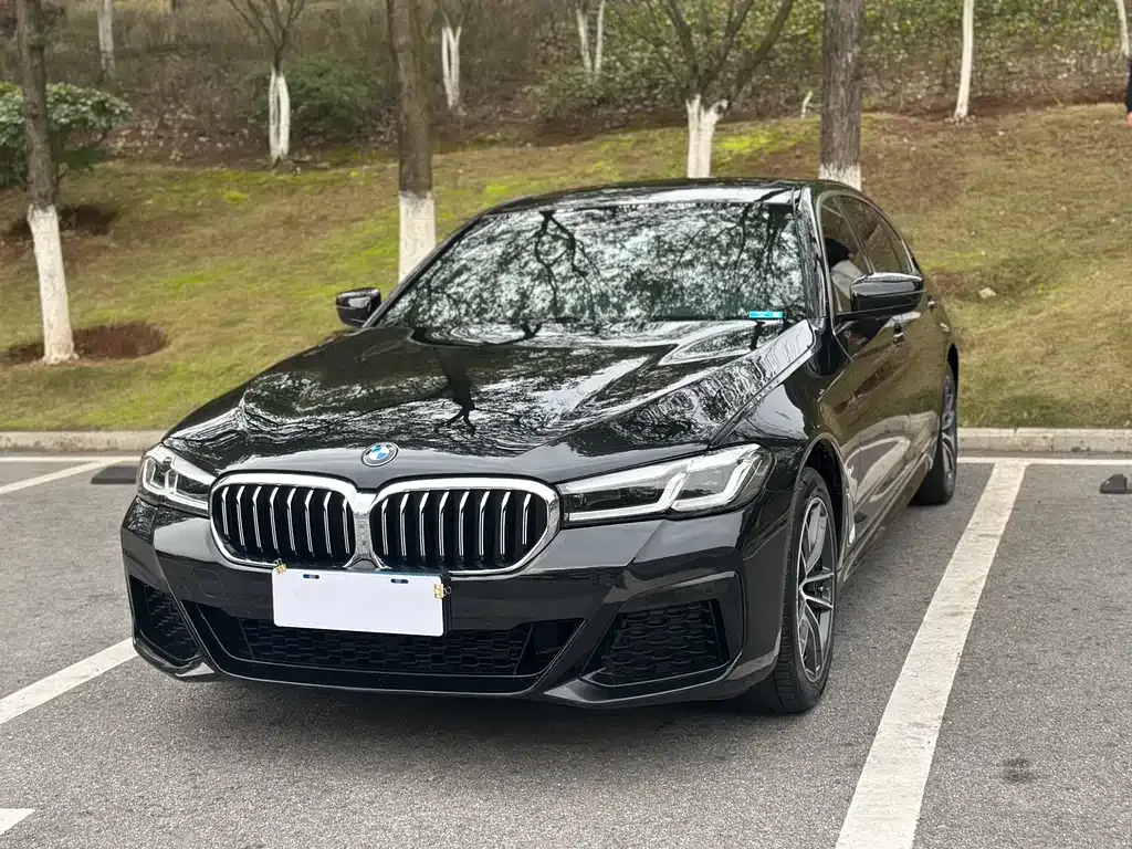 BMW 5 Series 2023 из CN, фото 1