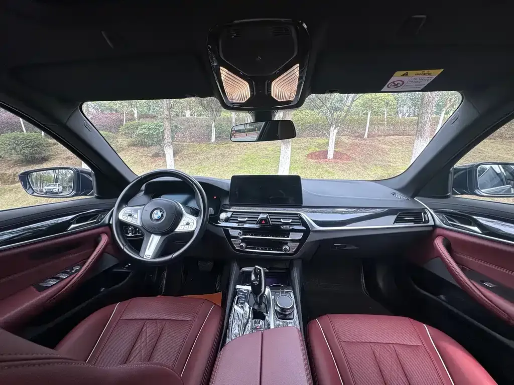 BMW 5 Series 2023 из CN, фото 10