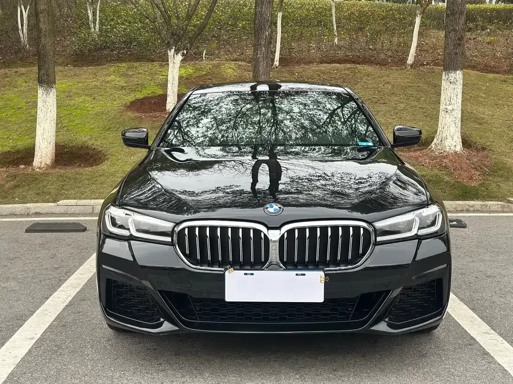 BMW 5 Series 2023 из CN, фото 9