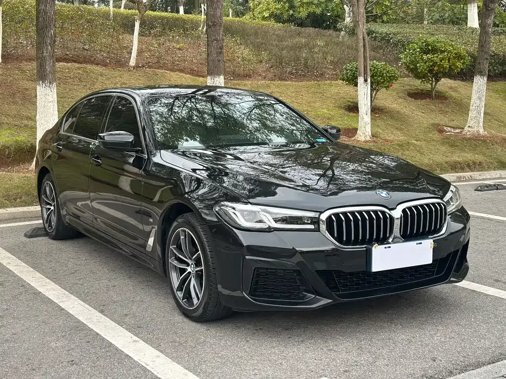 BMW 5 Series 2023 из CN, фото 6