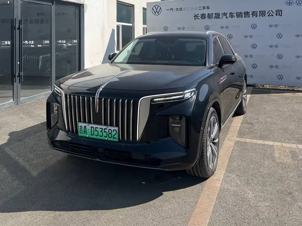 Hongqi E-HS9 — фото 1