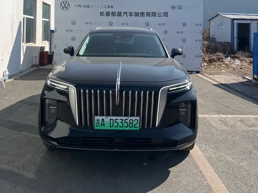 Hongqi E-HS9 — фото 4