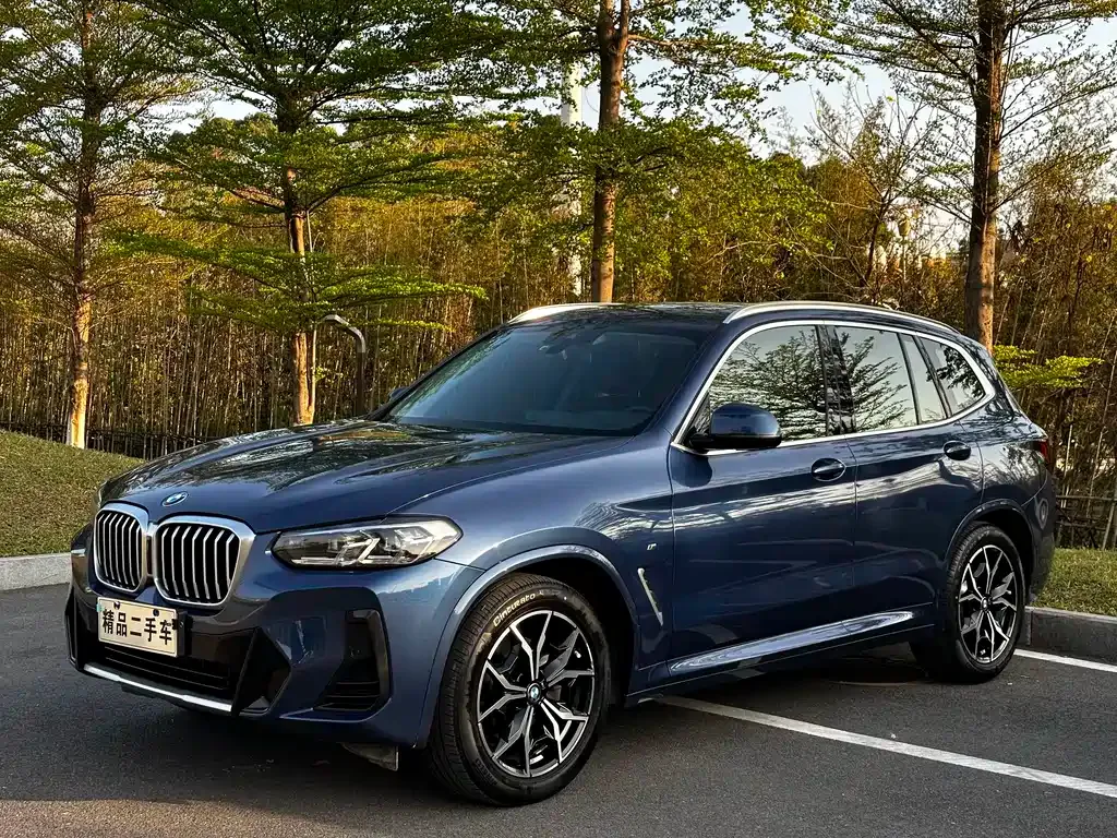 BMW X3 — фото 1