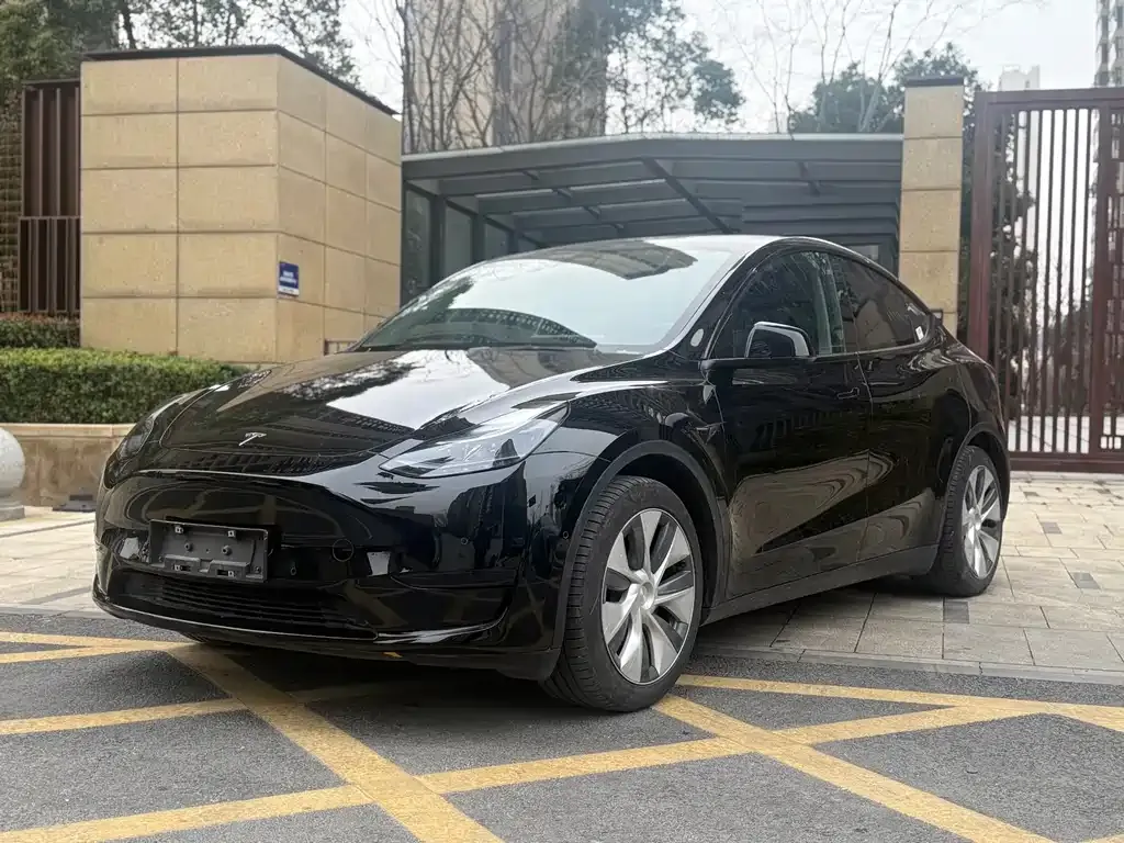 Tesla Model Y 2022 из CN, фото 1