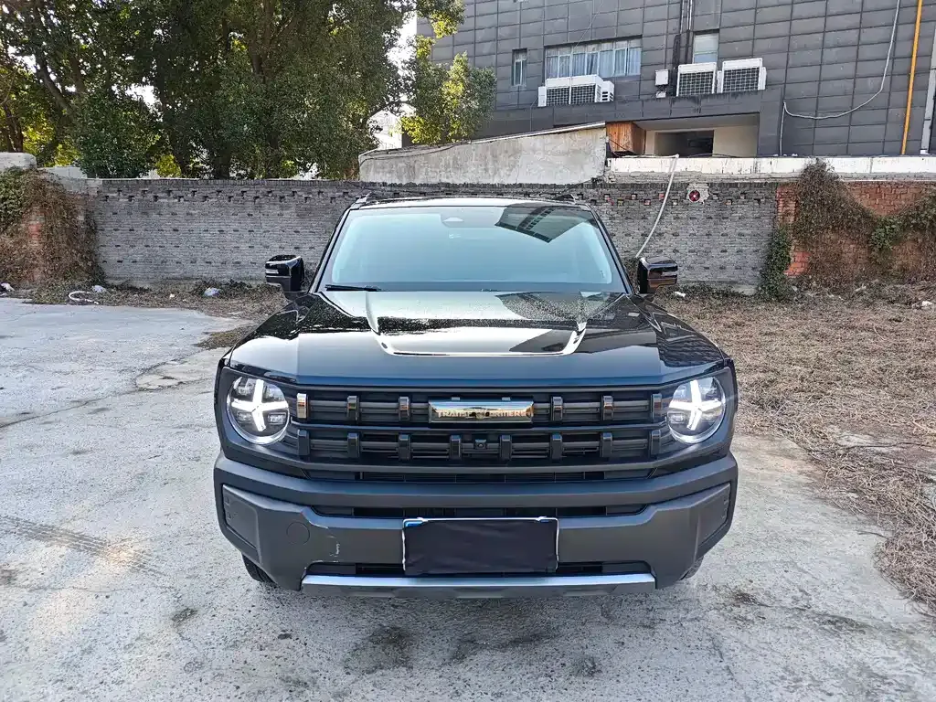 Haval Cool Dog 2023 из CN, фото 1