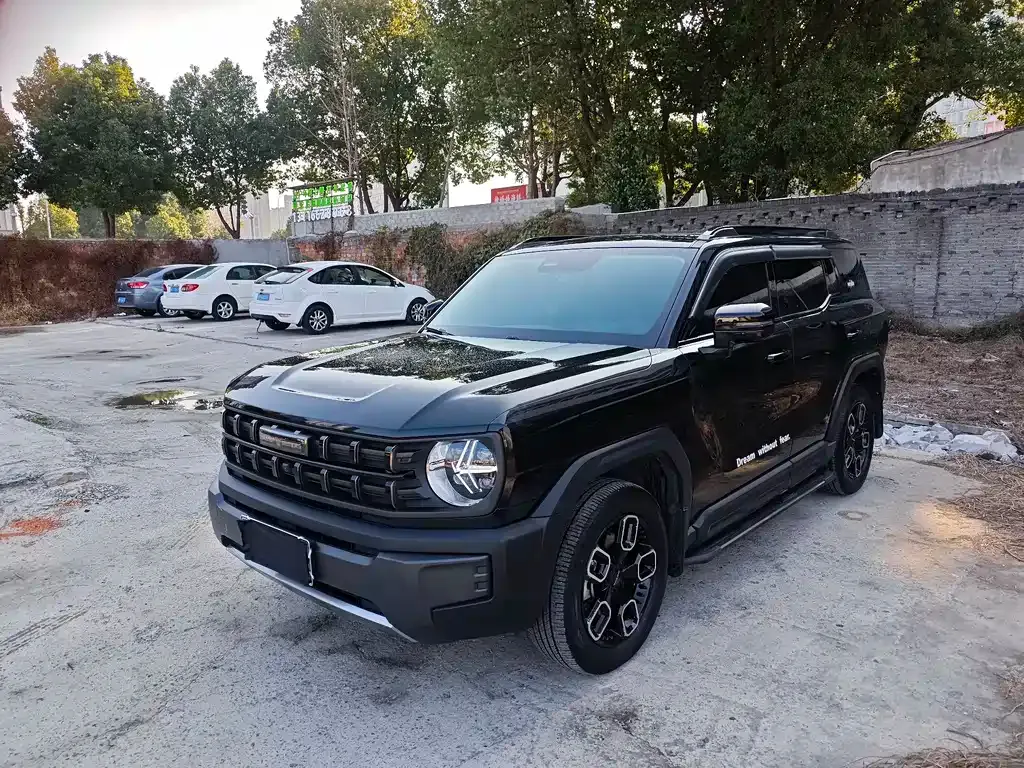 Haval Cool Dog 2023 из CN, фото 9