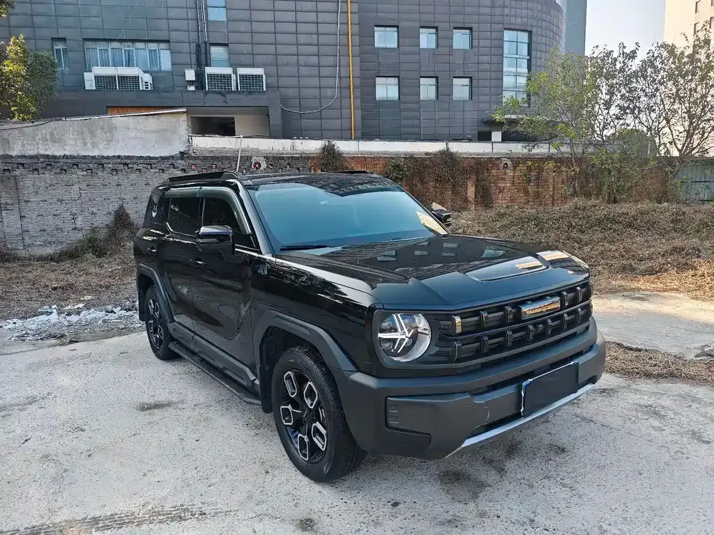 Haval Cool Dog 2023 из CN, фото 3