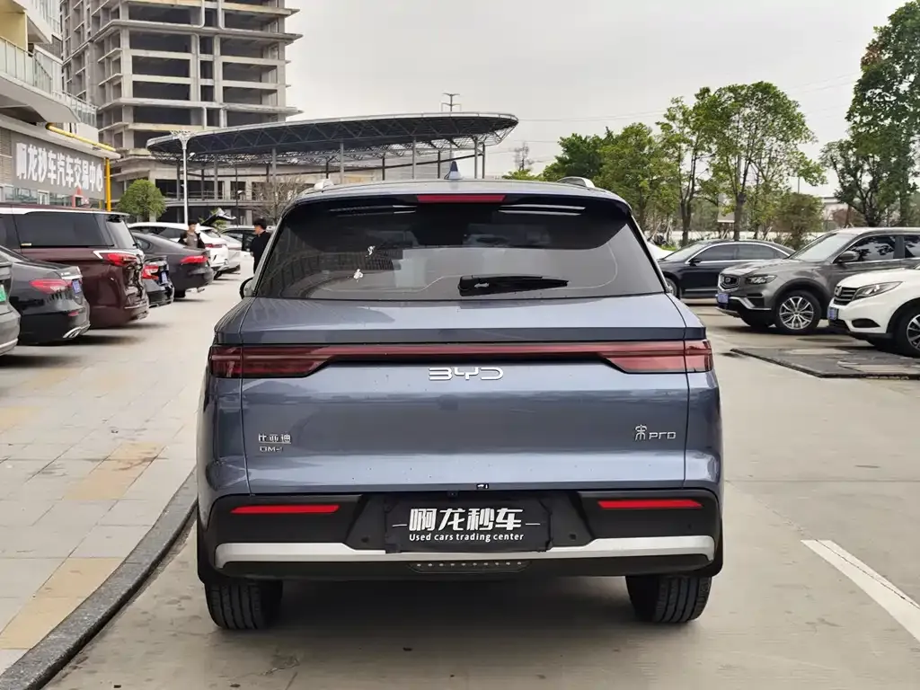 BYD Pro New Energy — фото 5