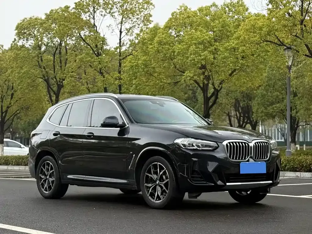 BMW X3 2024 из CN, фото 8