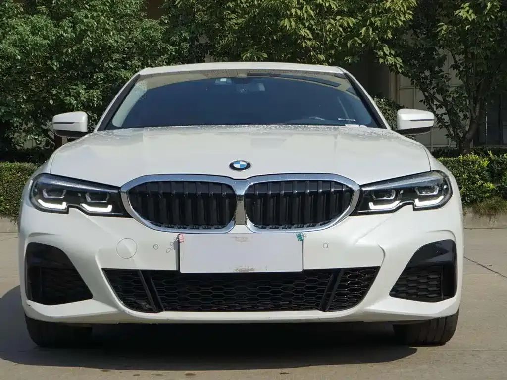 BMW 3 Series 2021 из CN, фото 4