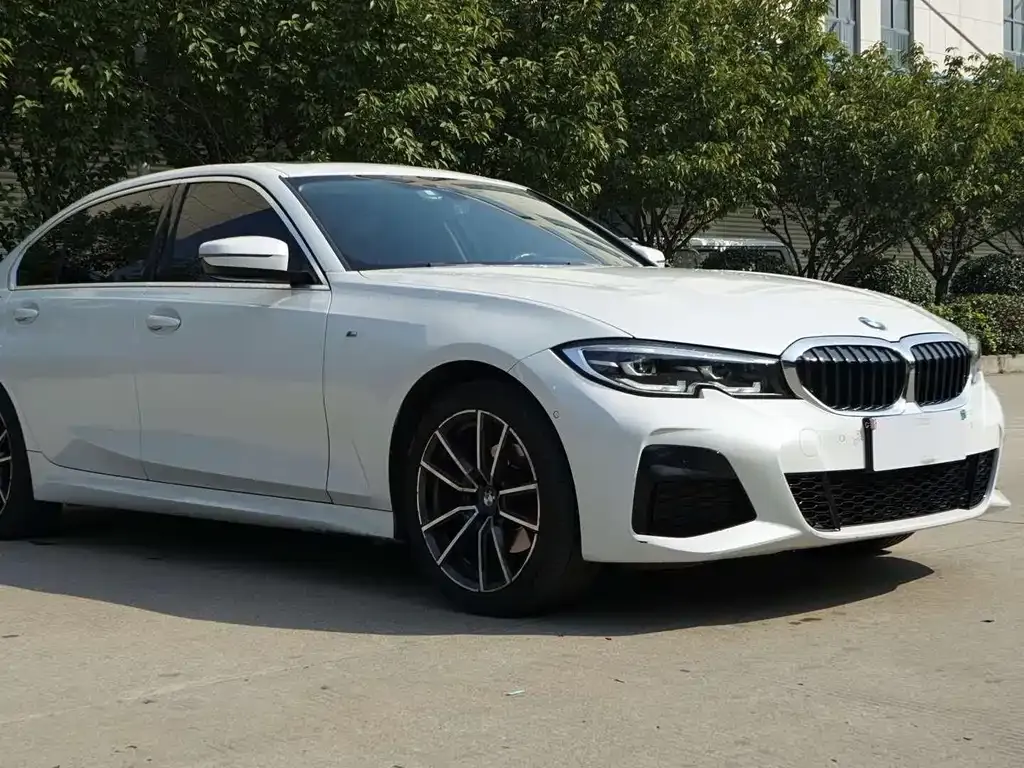 BMW 3 Series 2021 из CN, фото 9