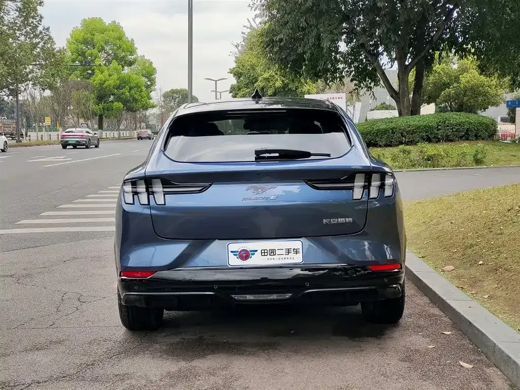 Ford Mustang Mach-E 2023 из CN, фото 8