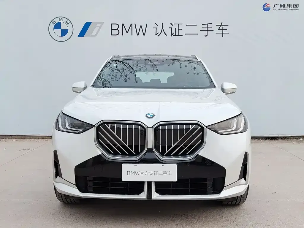 BMW X3 2025 из CN, фото 4