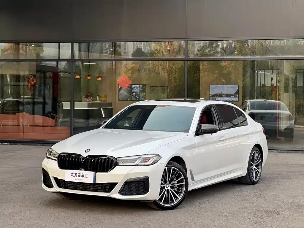 BMW 5 Series 2021 из CN, фото 1