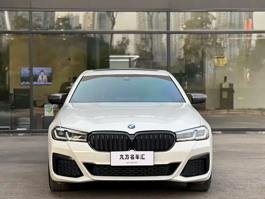BMW 5 Series 2021 из CN, фото 3
