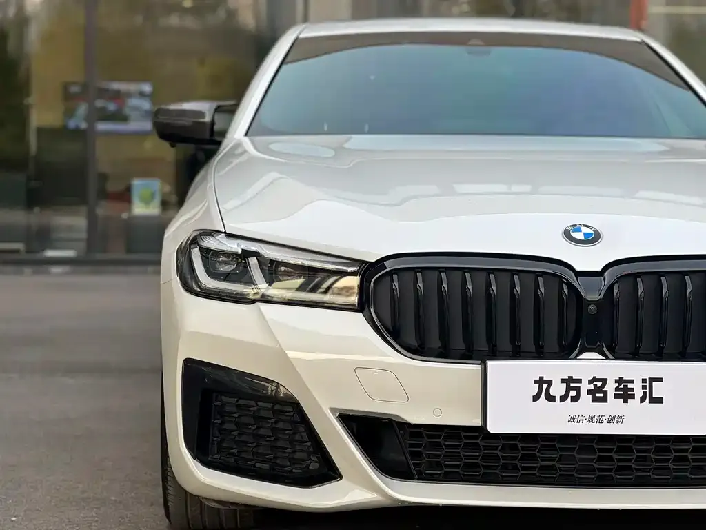BMW 5 Series 2021 из CN, фото 2