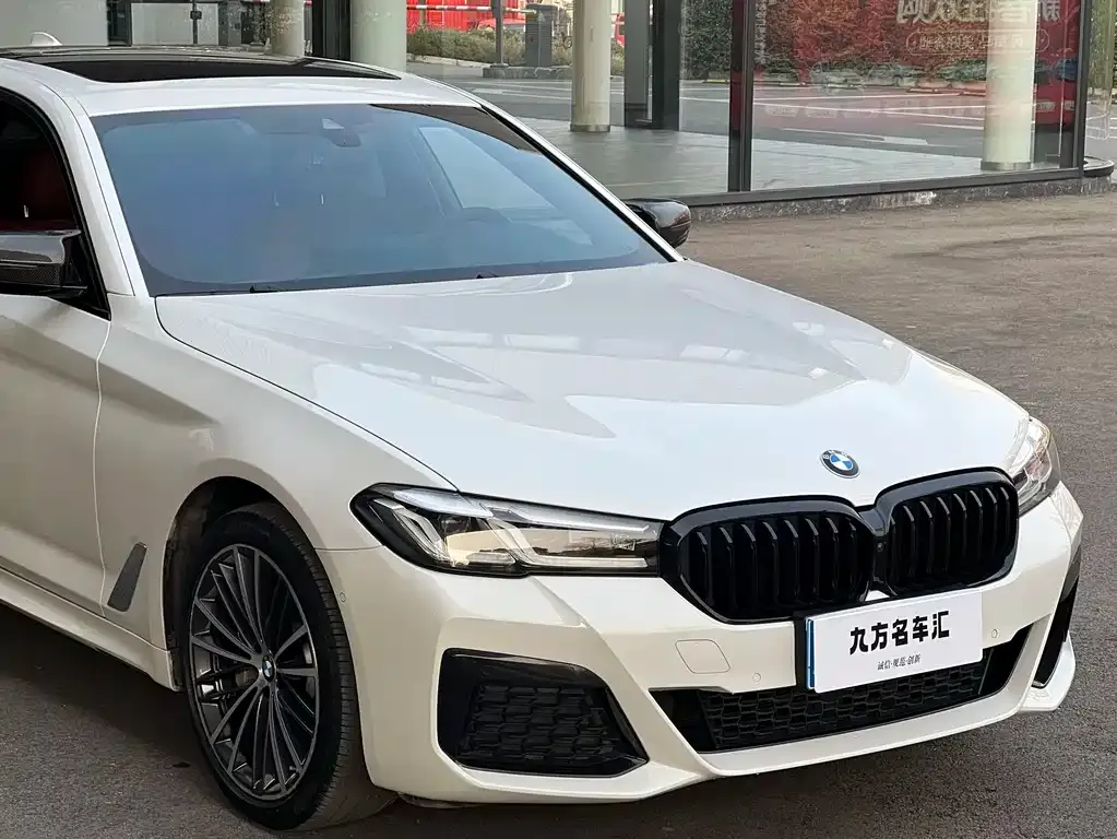 BMW 5 Series 2021 из CN, фото 4