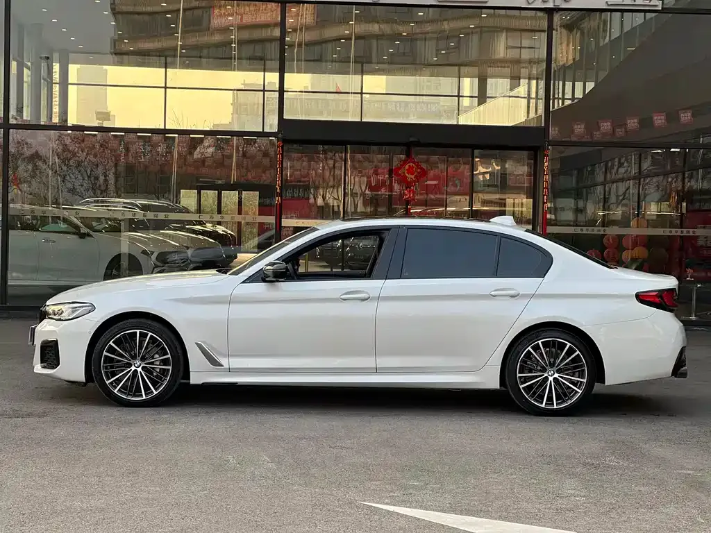 BMW 5 Series 2021 из CN, фото 5