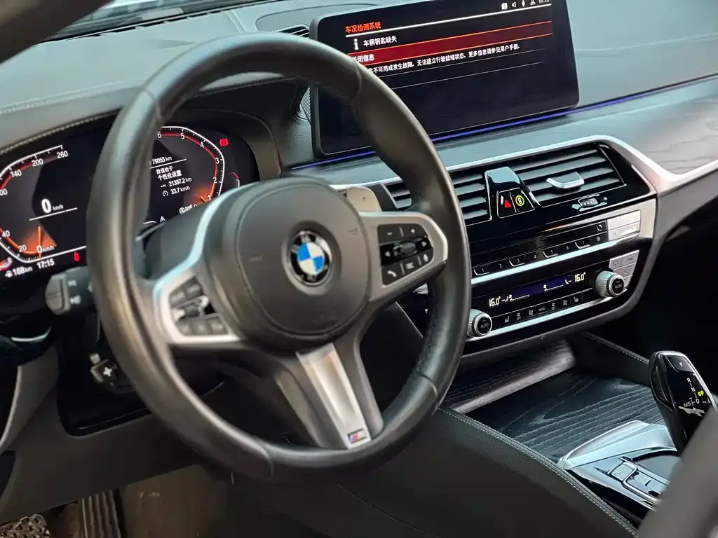 BMW 5 Series 2021 из CN, фото 7