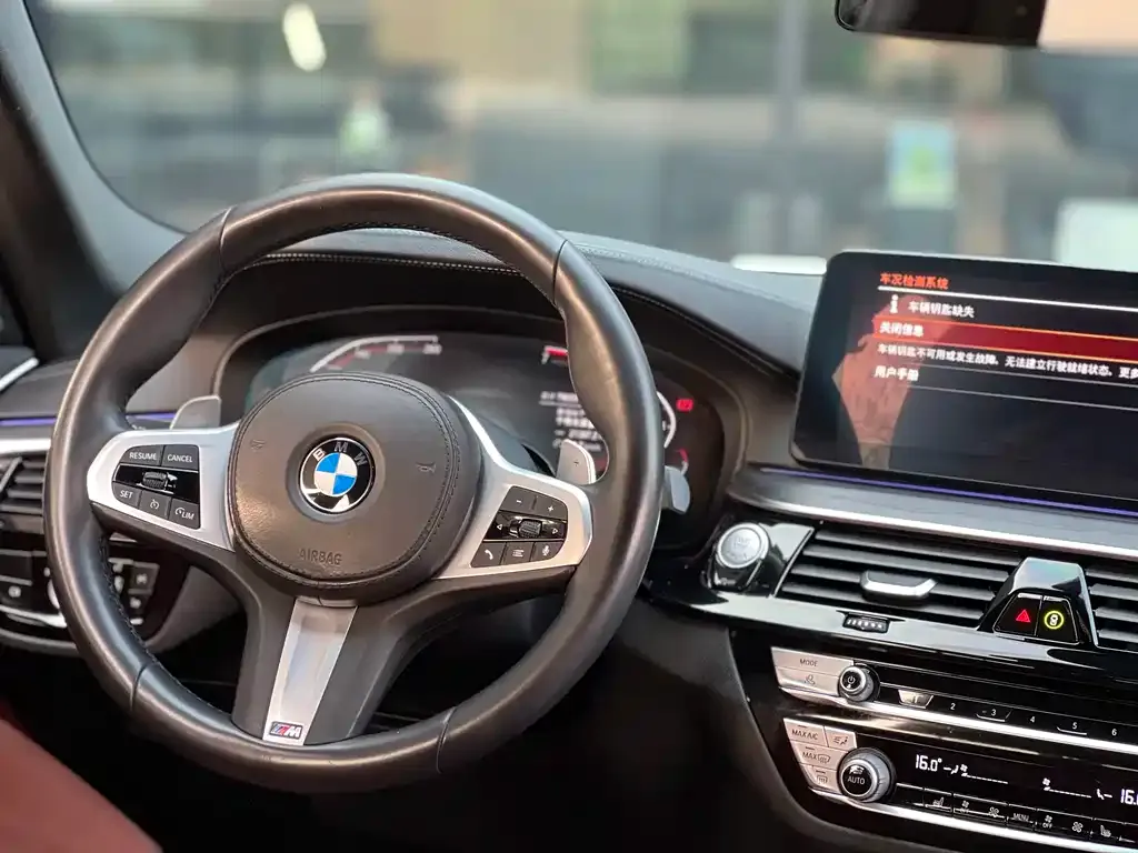 BMW 5 Series 2021 из CN, фото 9