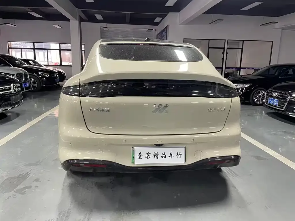 IM LS6 2025 из CN, фото 4