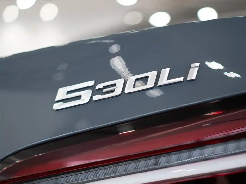 BMW 5 Series 2024 из CN, фото 3