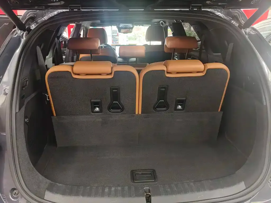 BYD Tang New Energy 2023 из CN, фото 5