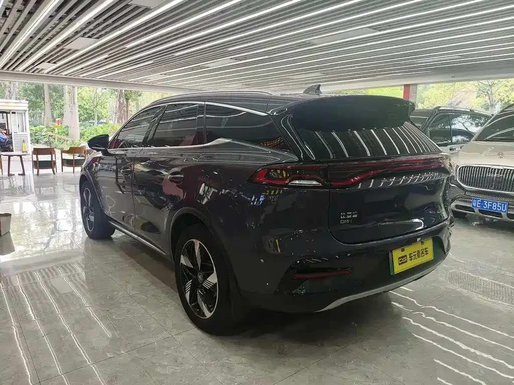 BYD Tang New Energy 2023 из CN, фото 10