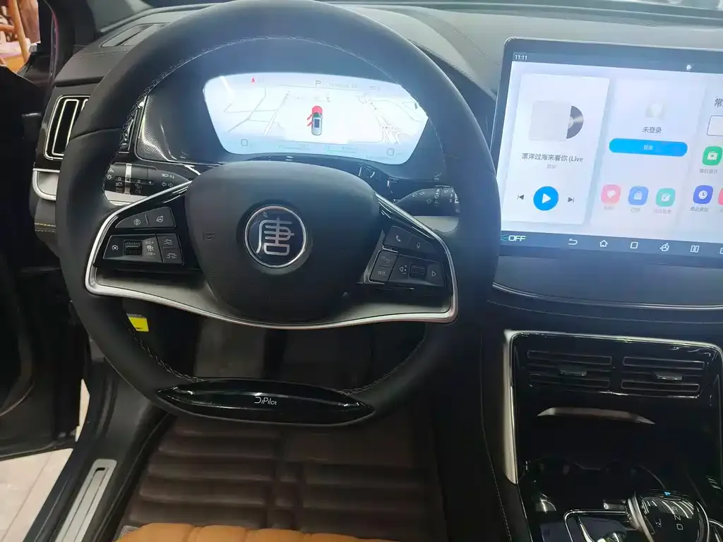 BYD Tang New Energy 2023 из CN, фото 3