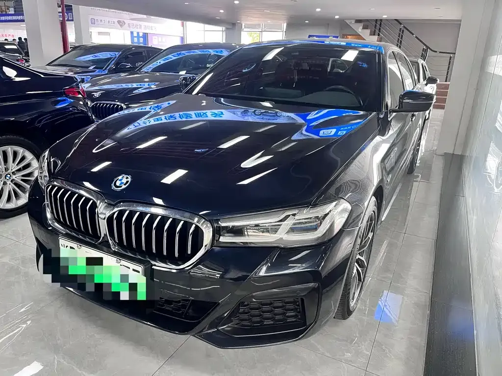 BMW 5 Series New Energy — фото 6
