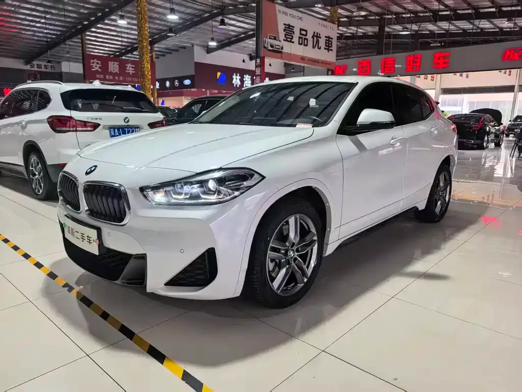 BMW X2 2022 из CN, фото 6