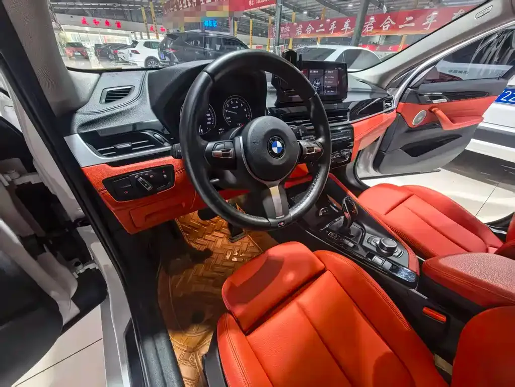 BMW X2 2022 из CN, фото 10