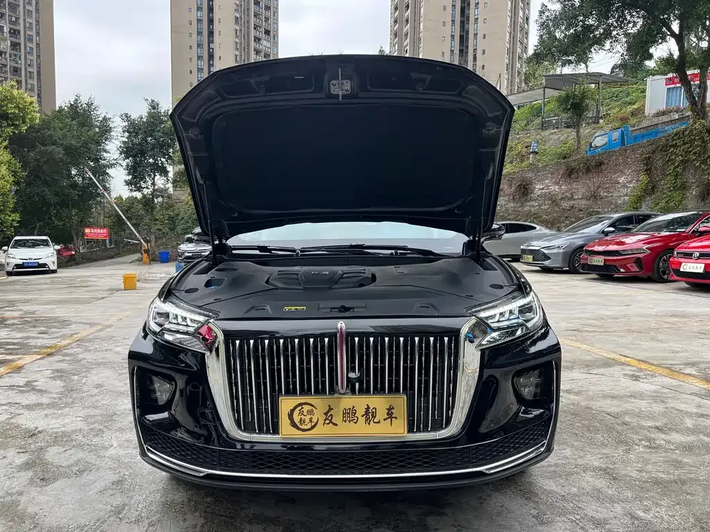 Hongqi HS5 2023 из CN, фото 4