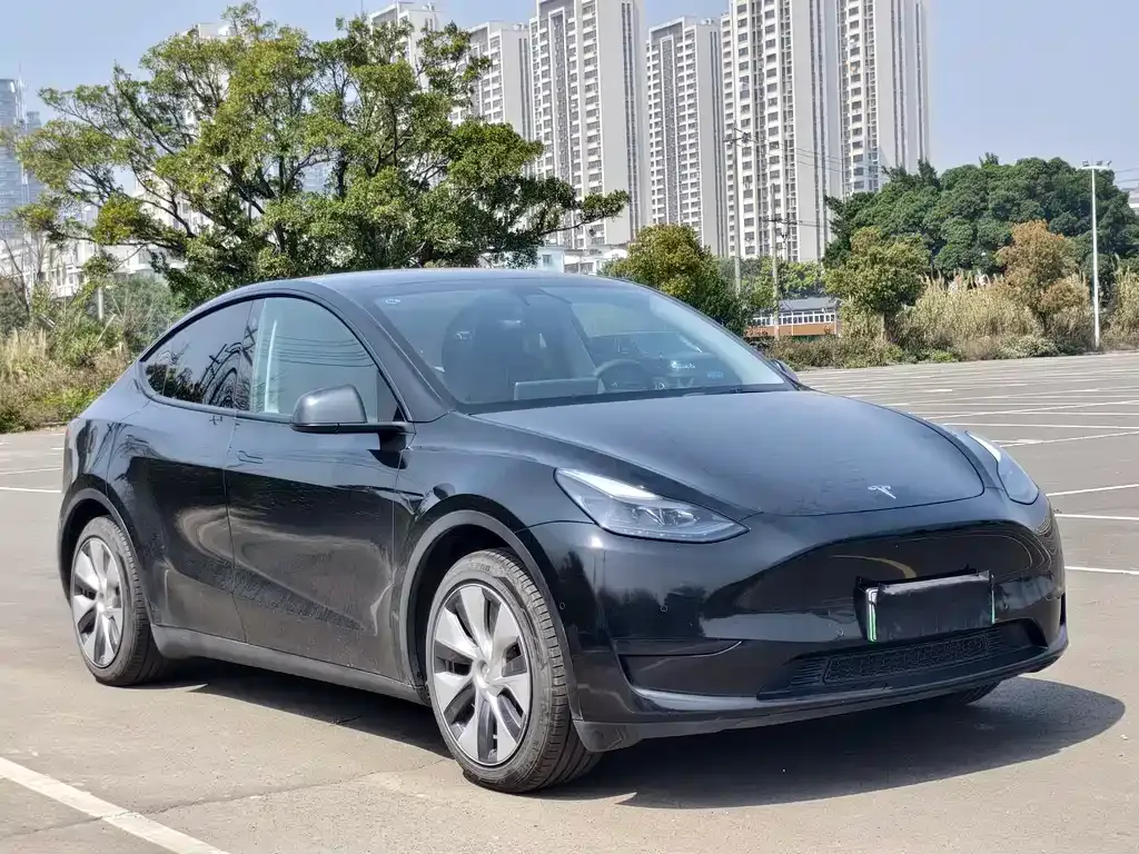 Tesla Model Y — фото 7