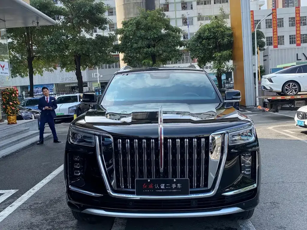 Hongqi Golden Sunflower Guoyao 2026 из CN, фото 7