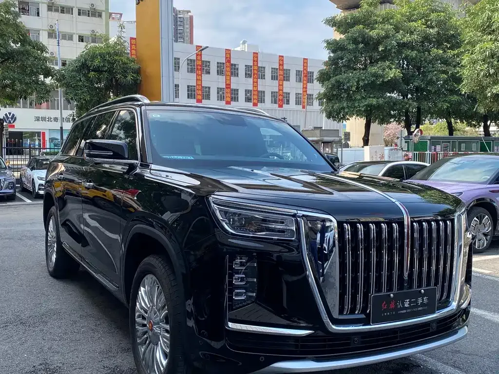 Hongqi Golden Sunflower Guoyao 2026 из CN, фото 9