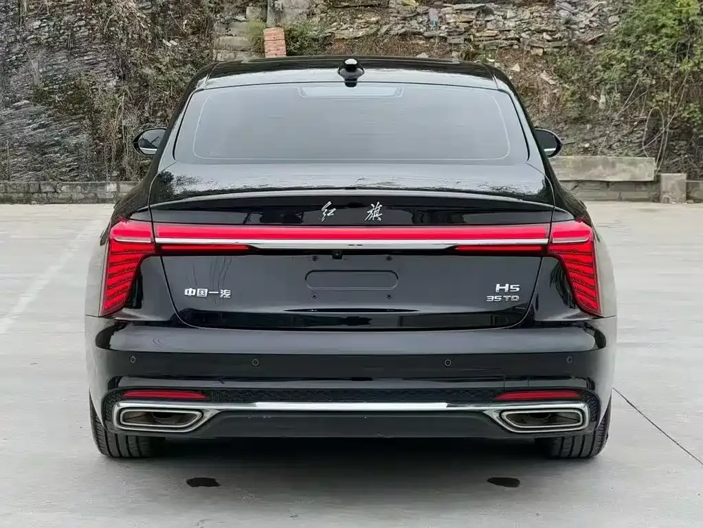 Hongqi H5 2023 из CN, фото 2