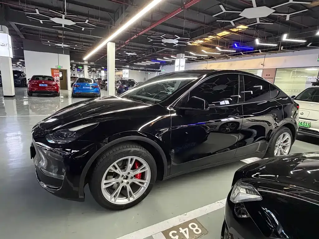 Tesla Model Y — фото 1