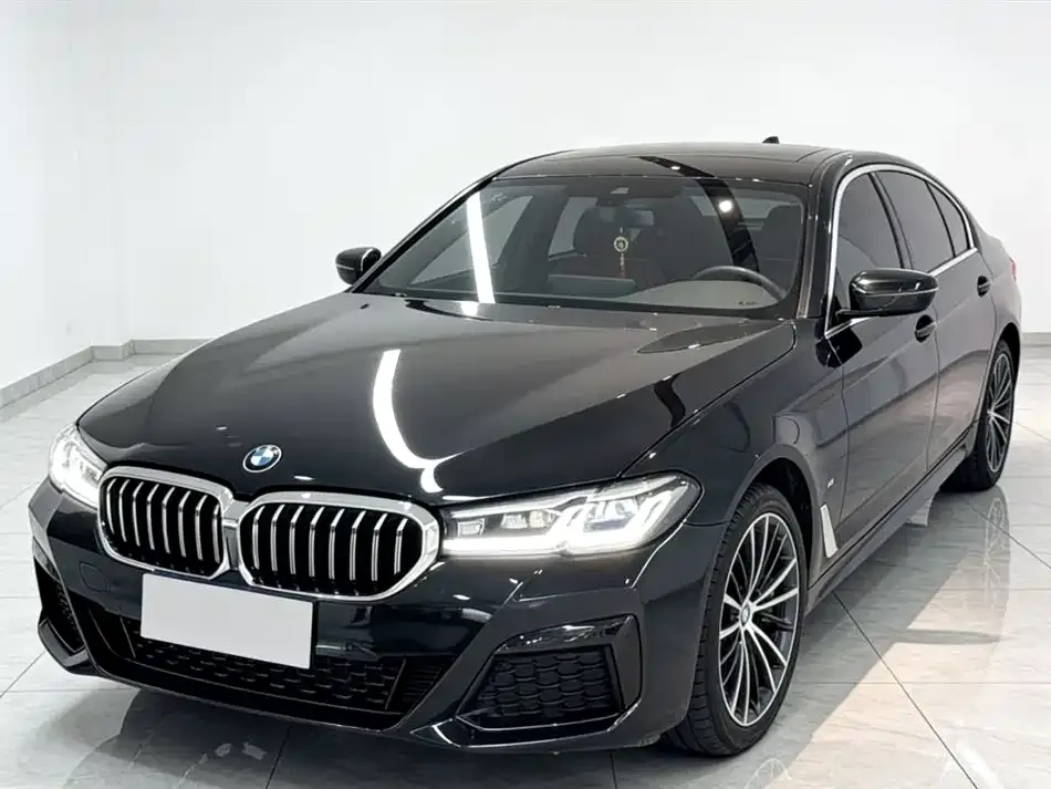 BMW 5 Series 2022 из CN, фото 1