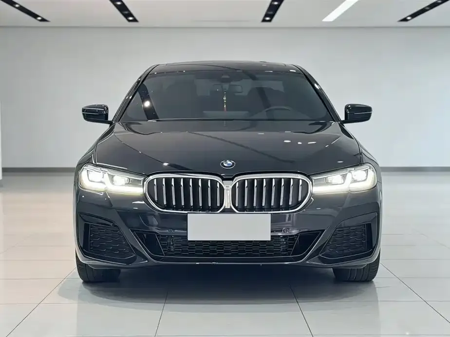 BMW 5 Series 2022 из CN, фото 4