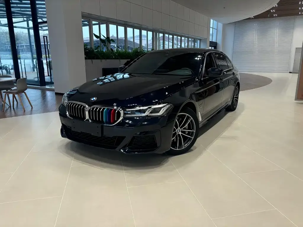 BMW 5 Series New Energy 2021 из CN, фото 1