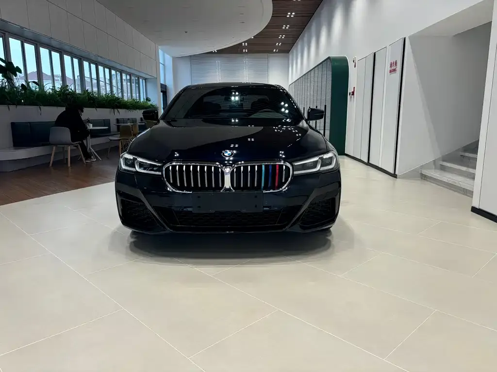 BMW 5 Series New Energy 2021 из CN, фото 2