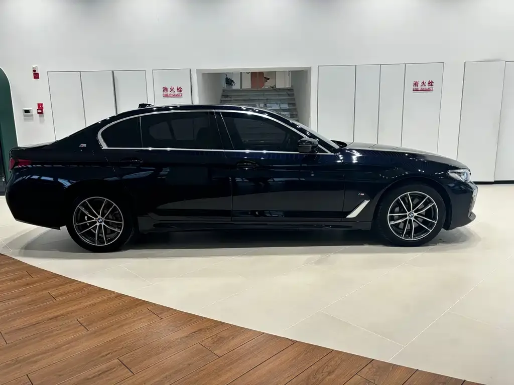 BMW 5 Series New Energy 2021 из CN, фото 7