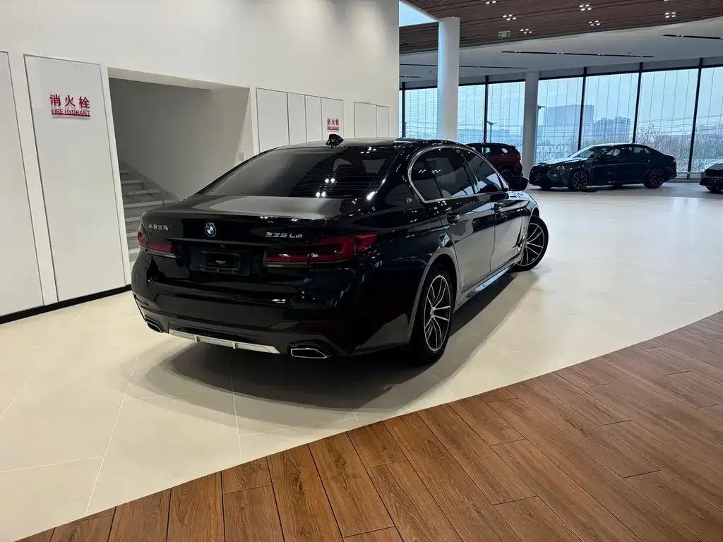 BMW 5 Series New Energy 2021 из CN, фото 8