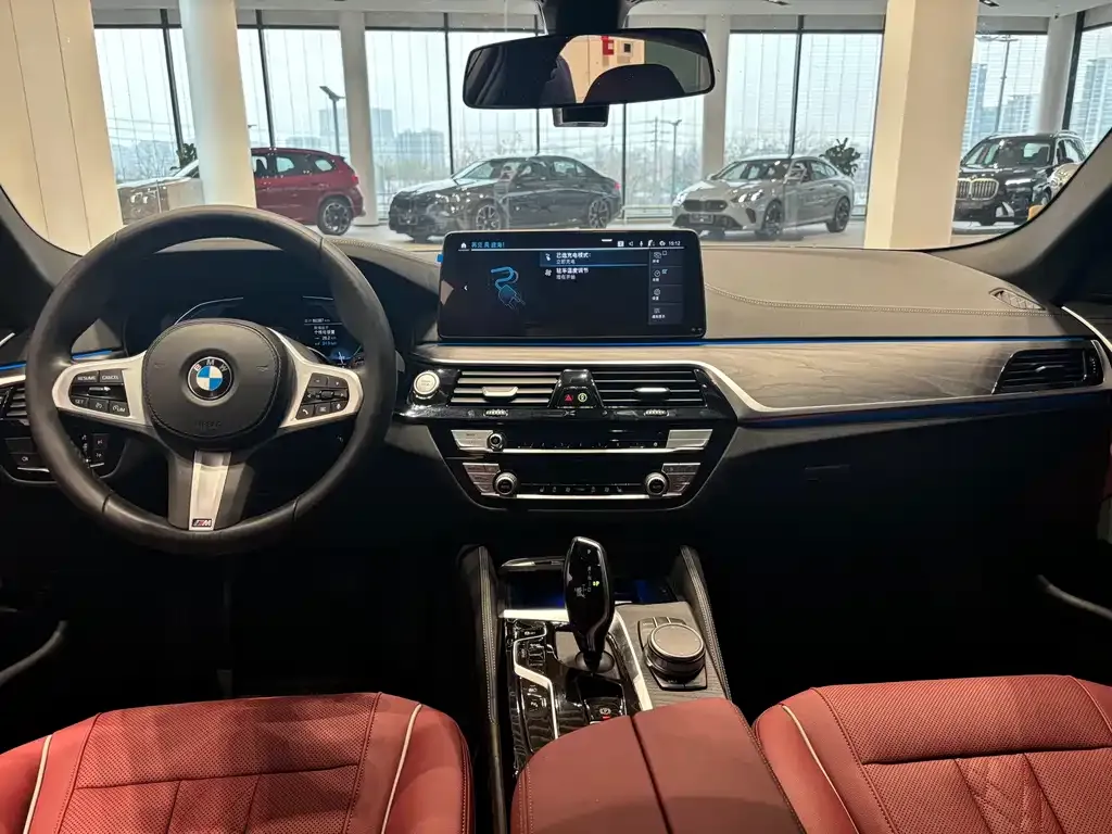 BMW 5 Series New Energy 2021 из CN, фото 5