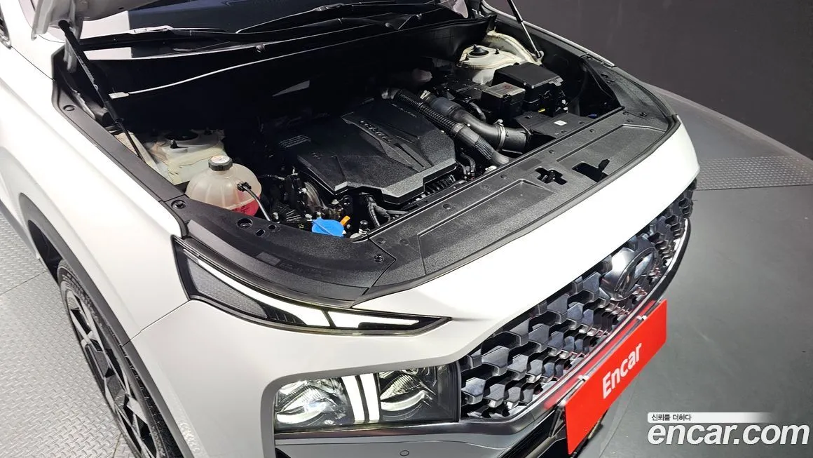 Hyundai Santafe 2021 из KR, фото 3