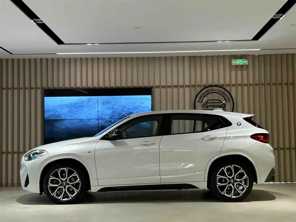 BMW X2 2021 из CN, фото 9