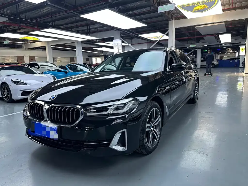 BMW 5 Series 2022 из CN, фото 1