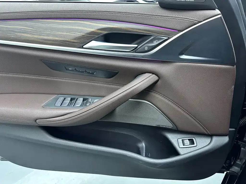 BMW 5 Series 2022 из CN, фото 8