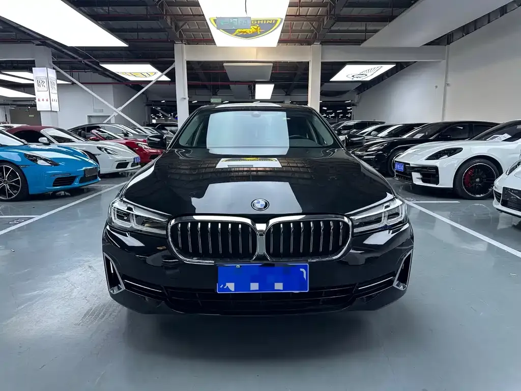 BMW 5 Series 2022 из CN, фото 2